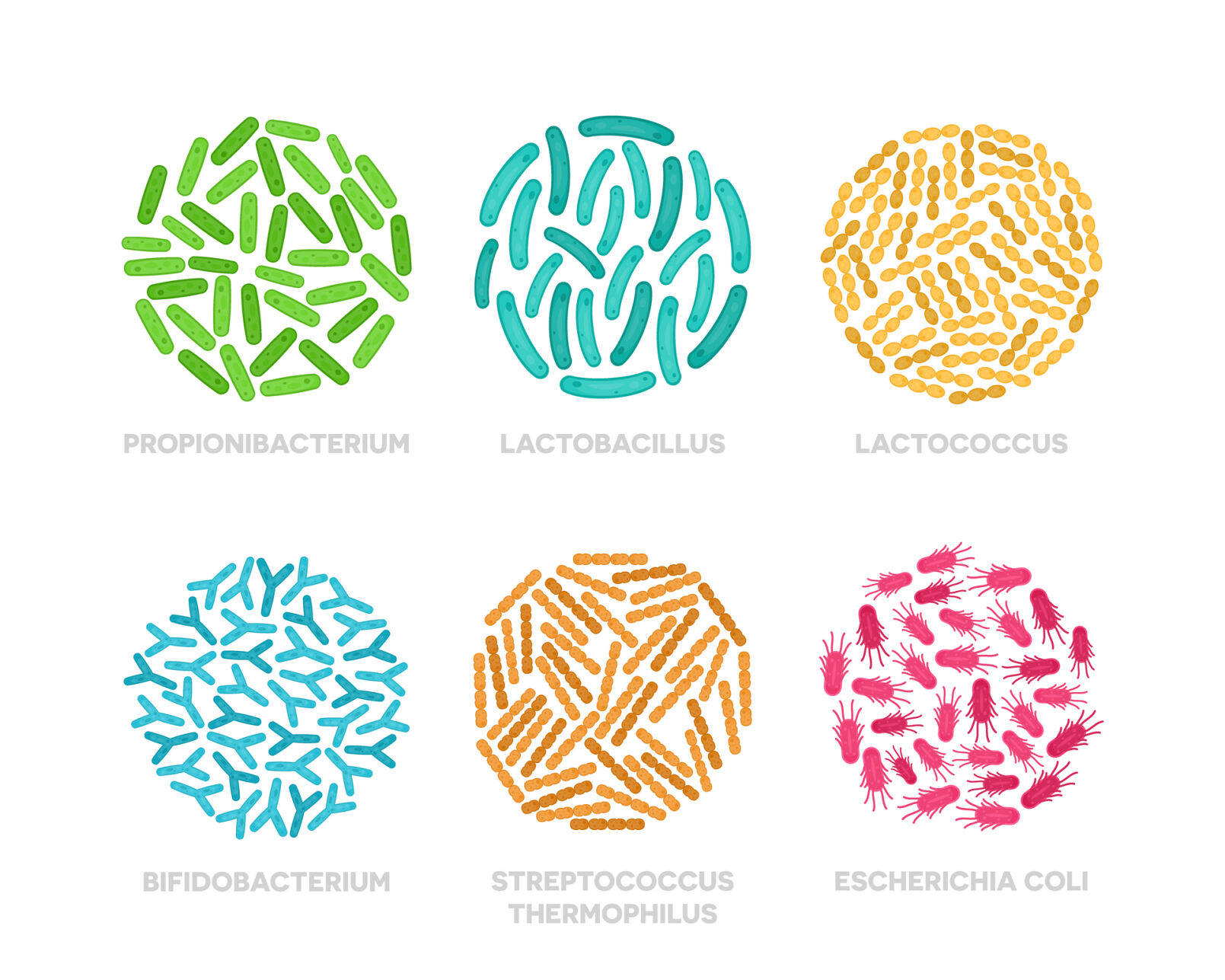 Probiotics—What are they and what are the benefits?